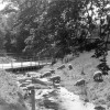 Tiddlers and Devil's Toenails