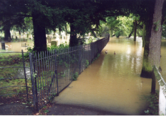Rivergods