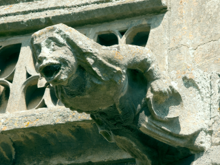 The Alewife gargoyle welcomes us from the walls of St Mary's. | Neil Fortey, 26th July 2014