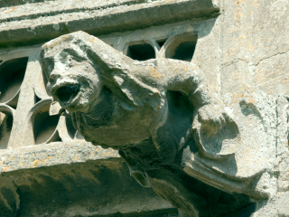 The Alewife gargoyle The Alewife gargoyle welcomes us from the walls of St Mary's. | Neil Fortey, 26th July 2014