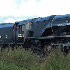 Duchess of Sutherland, October 2010 Duchess of Sutherland, October 2010 | Copyright: Ashley Waterfall