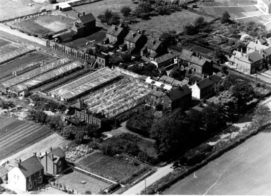 Aerial photograph of The Vineries, Belvoir Road