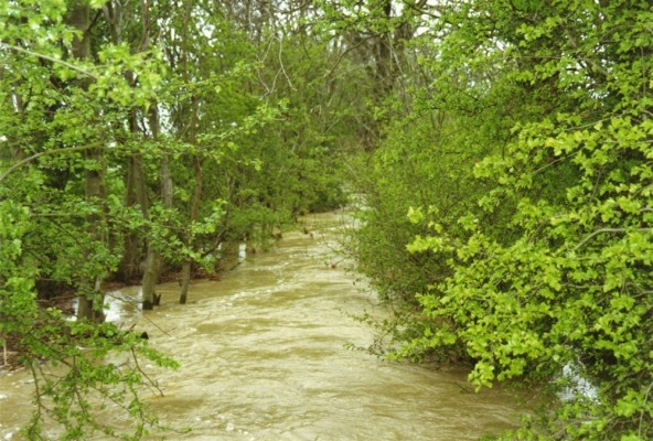 River in flood 1