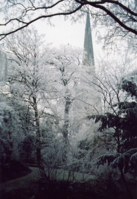 Winter scene - spire through churchyard trees