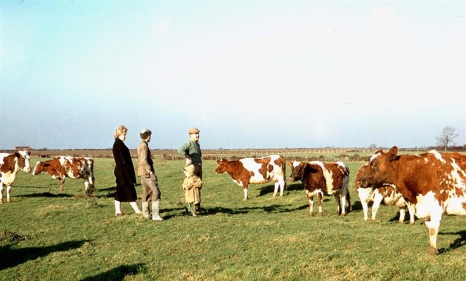 Michael and Angela visiting farmer Jerry Firth with his cattle
