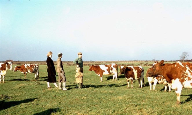 Michael and Angela visiting farmer Jerry Firth with his cattle Michael and Angela visiting farmer Jerry Firth with his cattle