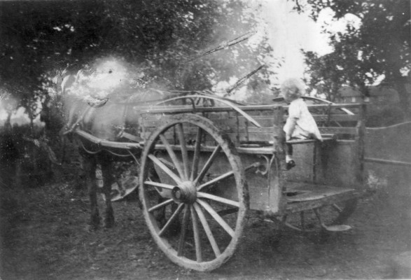 Wendy or Gina Topps on a cart in Daybell's farm yard Bottesford