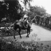 Horse and rider on path in formal gardens