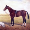 Painting of racehorse 'Lady X'