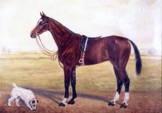 Painting of racehorse 'Lady X'