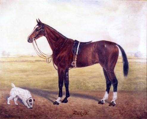 Painting of racehorse 'Lady X'