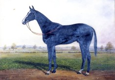 Painting of racehorse 'Common Good'