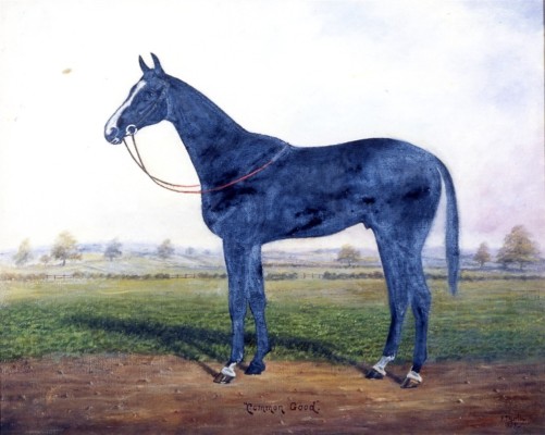 Painting of racehorse 'Common Good'