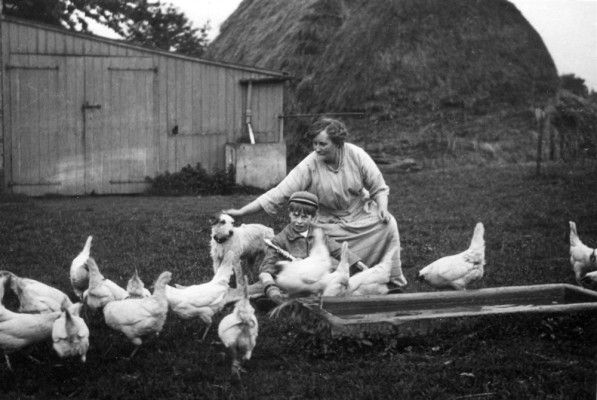 Mrs Marsh and Alec feeding the hens