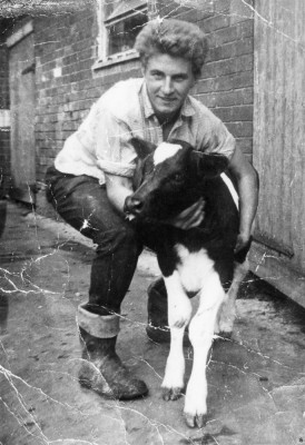 Gerald Rastall with new born calf at Church Farm