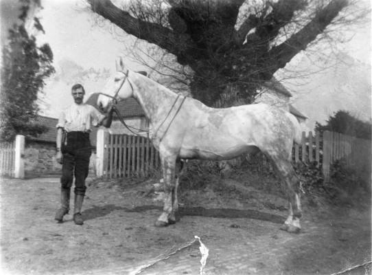 Mr George Marsh and his white horse