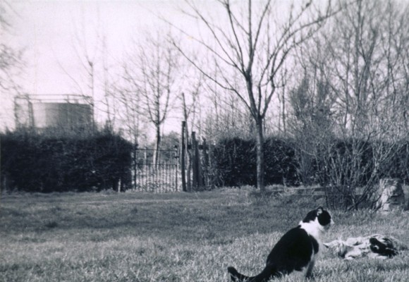 In the gardens at Beckingthorpe Farm