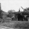 The steam threshing machine at work