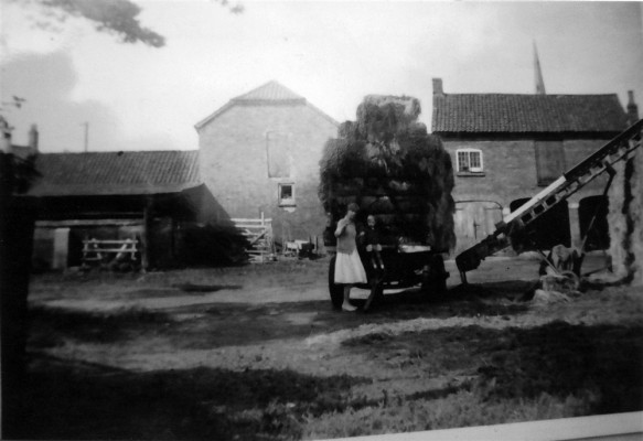In the yard at Beckingthorpe Farm