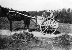 Family in horse and trap