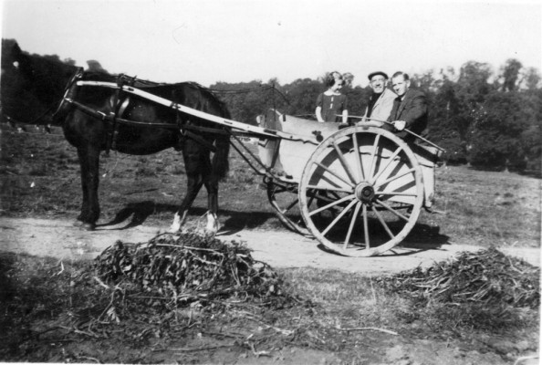 Family in horse and trap
