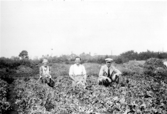Working in the Nursery, Nottingham Road, Bottesford