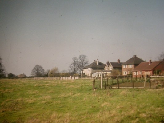 Pasture at Beckingthorpe, with first post-war houses opposite station