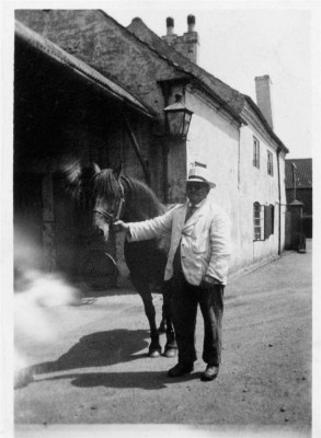 Pharoah Hare with horse in the Bull Yard