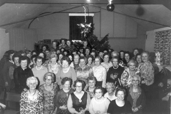 Women's Institute Dinner group