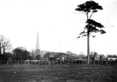 View E from S end Albert St c.1890