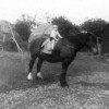 Michael Calcraft on horse at Sykes Lane Farm, Muston