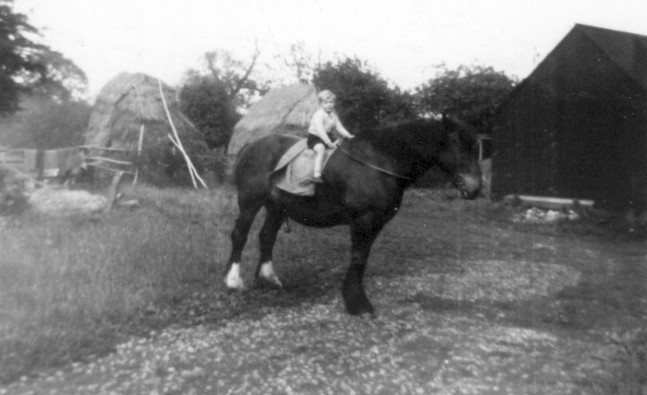 Michael Calcraft on horse at Sykes Lane Farm, Muston