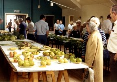Produce show in Bottesford - 1