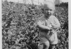 Bolland family album picture 49
