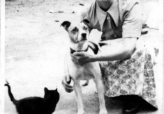 Bolland family album picture 96
