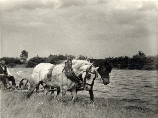 Photographs from the collection of Leslie and Ruby Calcraft