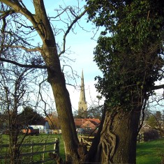 Spire seen from land sold for building