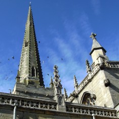 Gargoyles and Grotesques of St. Mary's