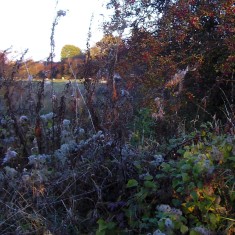 The SINC in Autumn