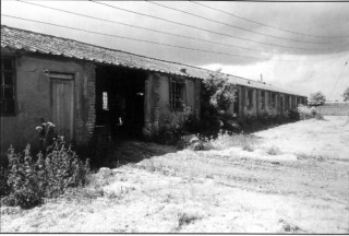 067_Ch_9_photo Fifty years on - the derelict 'B' Flight office today. The door and pathway remain, albeit overgrown. The chimney for the pot-bellied stove has gone, but in the extreme distance the stumps on the landing ground have grown into trees | ©️Vincent Holyoak
