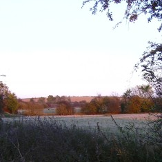 The SINC in Autumn