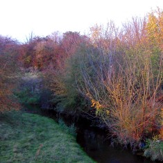 The SINC in Autumn