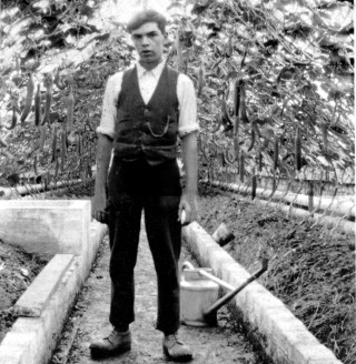 AHE0006_Frank_Wilkinson_in_the_Greenhouses_crop Frank Wilkinson in the cucumber house