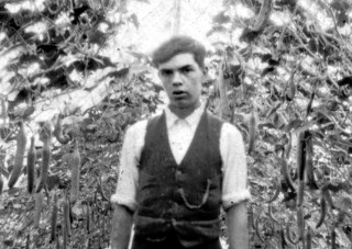 AHE0006_Frank_Wilkinson_in_the_Greenhouses_crop1 Frank Wilkinson in the cucumber house