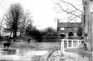 Ada_Bond_set_1_bw_0015_enhanced_crop Who Lived on The Green in 1901?