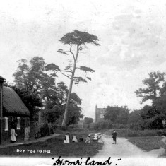 Albert_St_FarmLR Early 1900s view towards Devon Farm