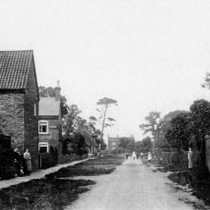 Albert_St_old_PC Early 1900s view of Albert Street