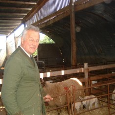 A farmer and his livestock. John Baggaley at his farm in Normanton. | Photo by Peggy Topps