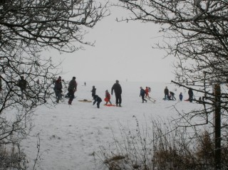 OLYMPUS DIGITAL CAMERA Beacon Hill, Feb 2nd 2009