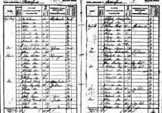 Census Transcriptions